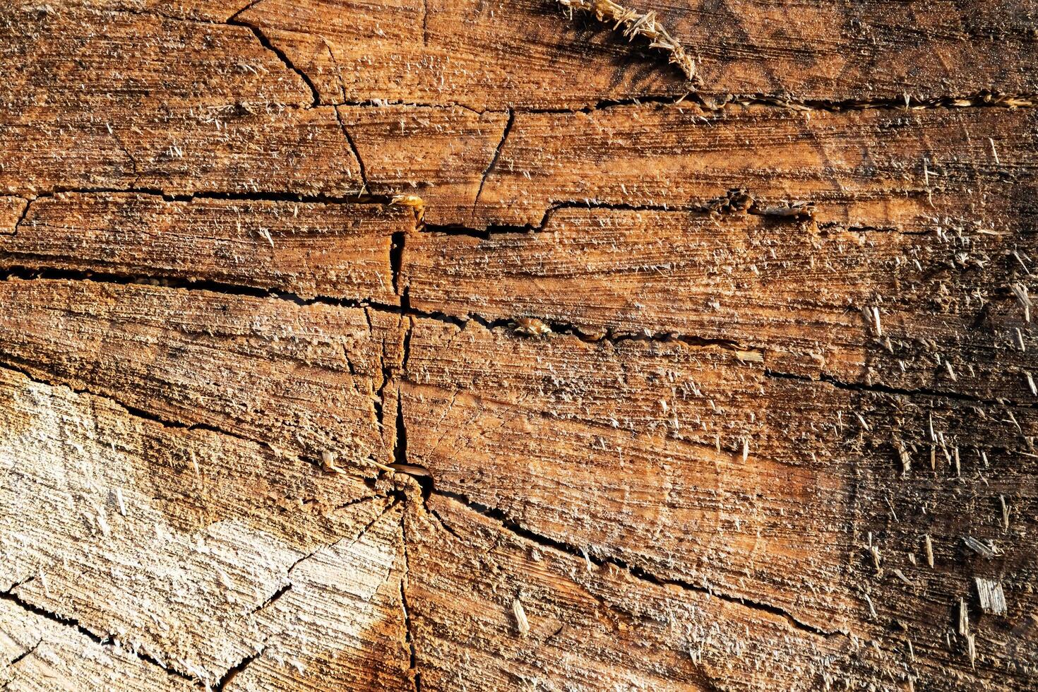 Wood abstract texture. Surface grunge backdrop. Dirty wooden effect pattern. Material background. photo