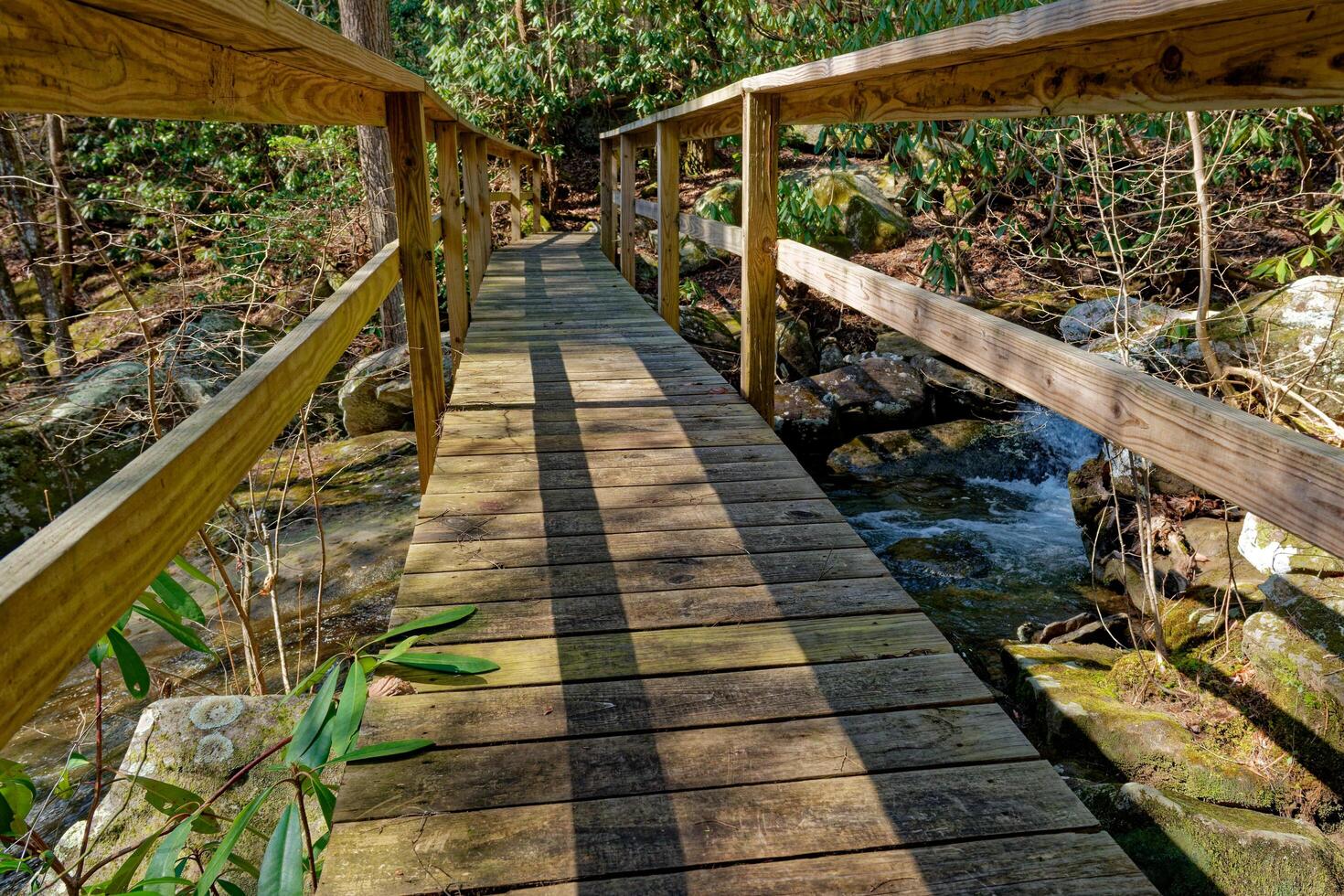 Foot bridge over the creek photo