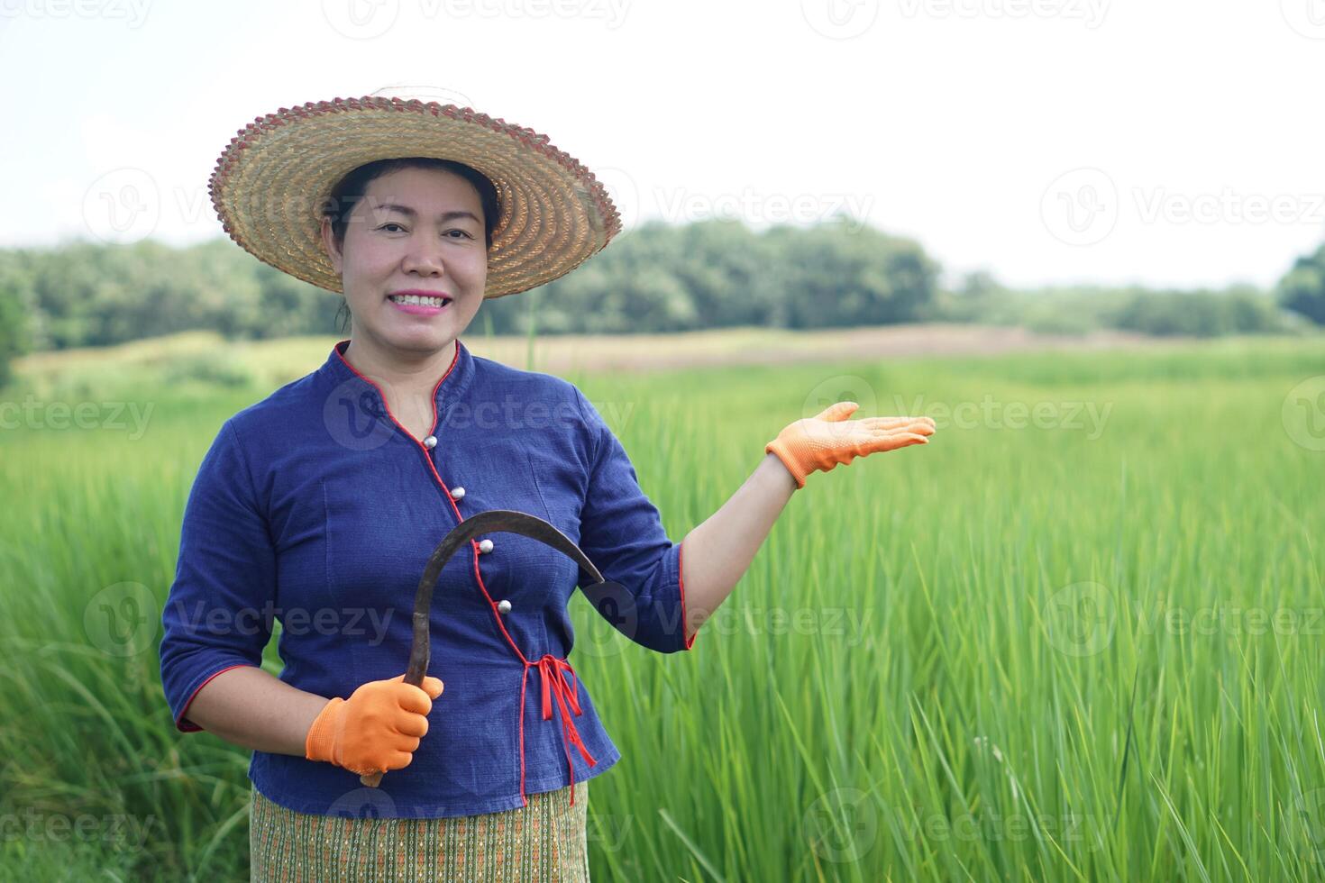 Happy Asian woman farmer wears hat, holds sickle at paddy field. Concept, organic farming. Use agricultural tool by hand to get rid weeds instead of herbicide. Safe crops photo