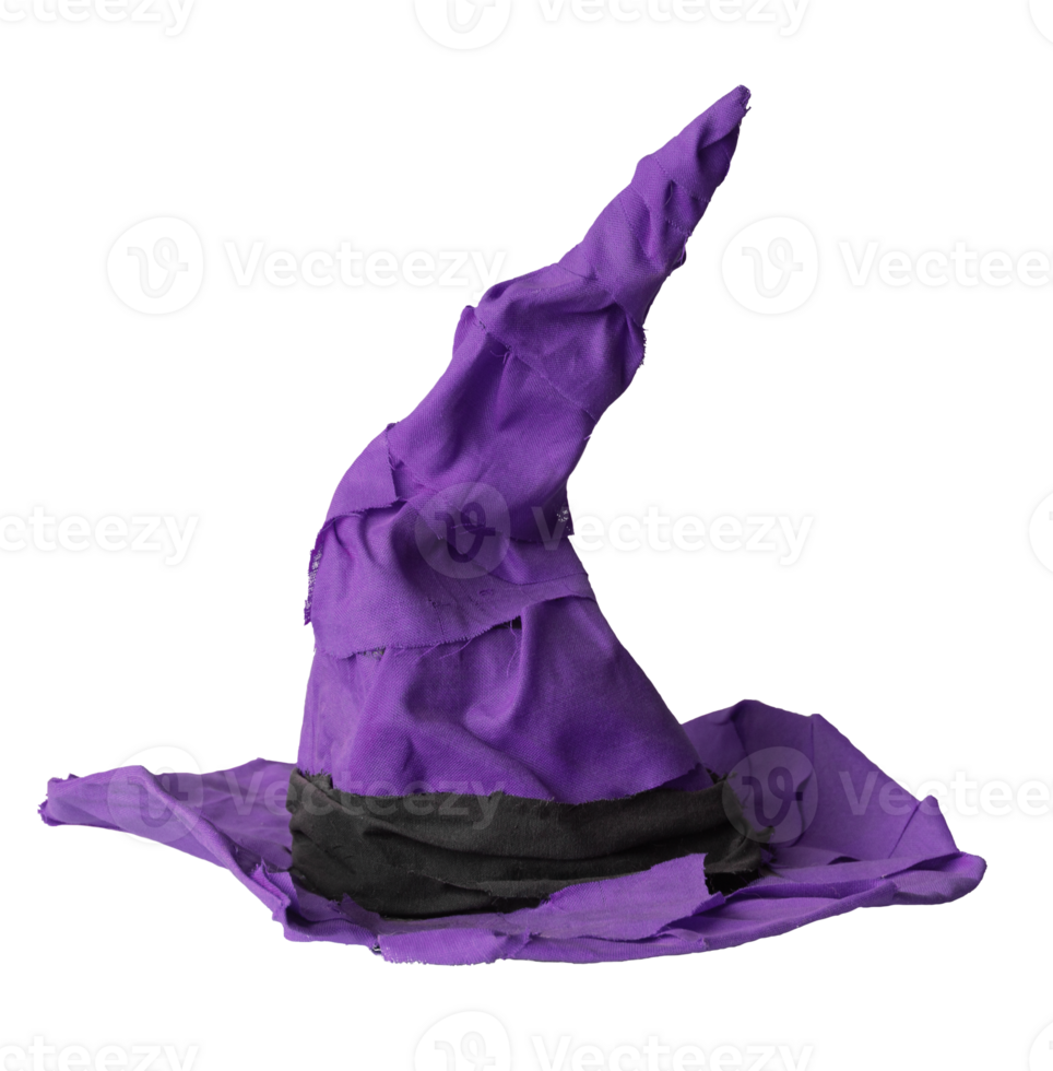 Violet pointed witch cloth hat isolated png