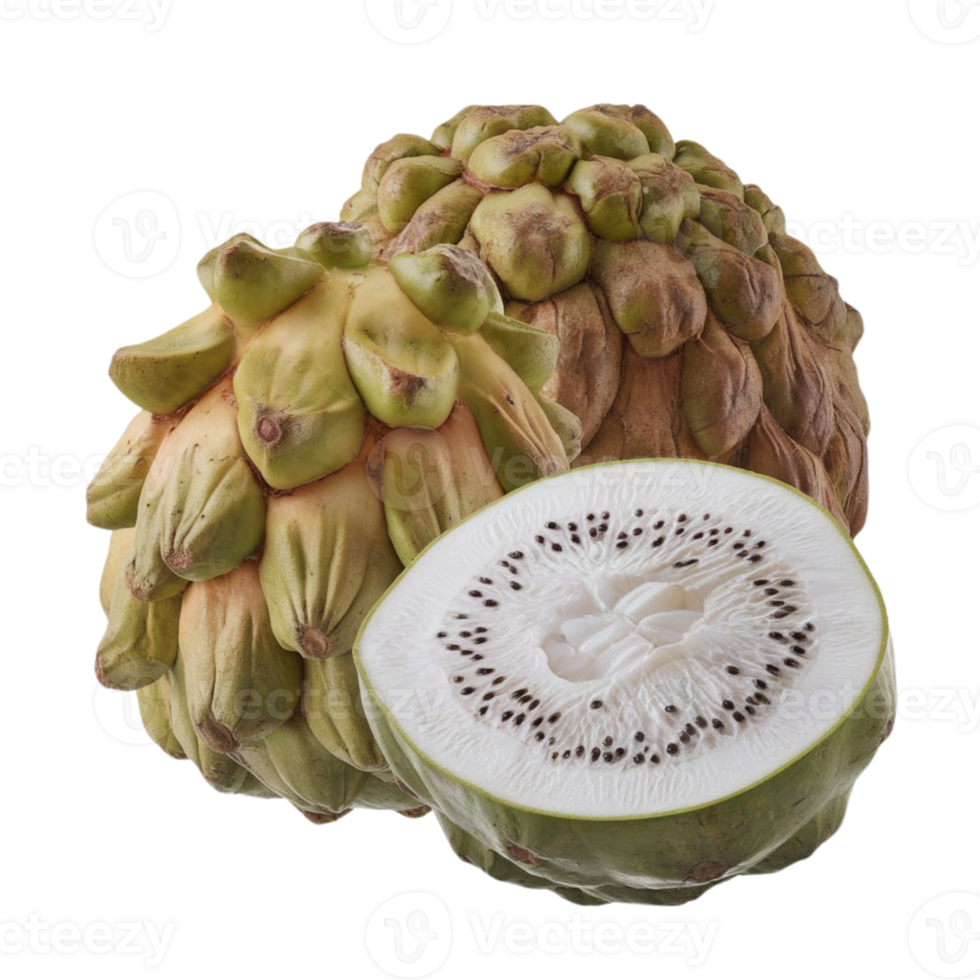 A whole srikaya fruit and one section of it resting on a transparent background png