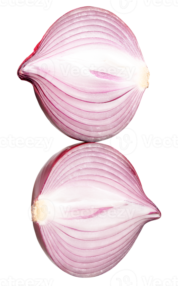 Top view photo of two big red or purple onion bulbs in halves or shallot isolated in file format png