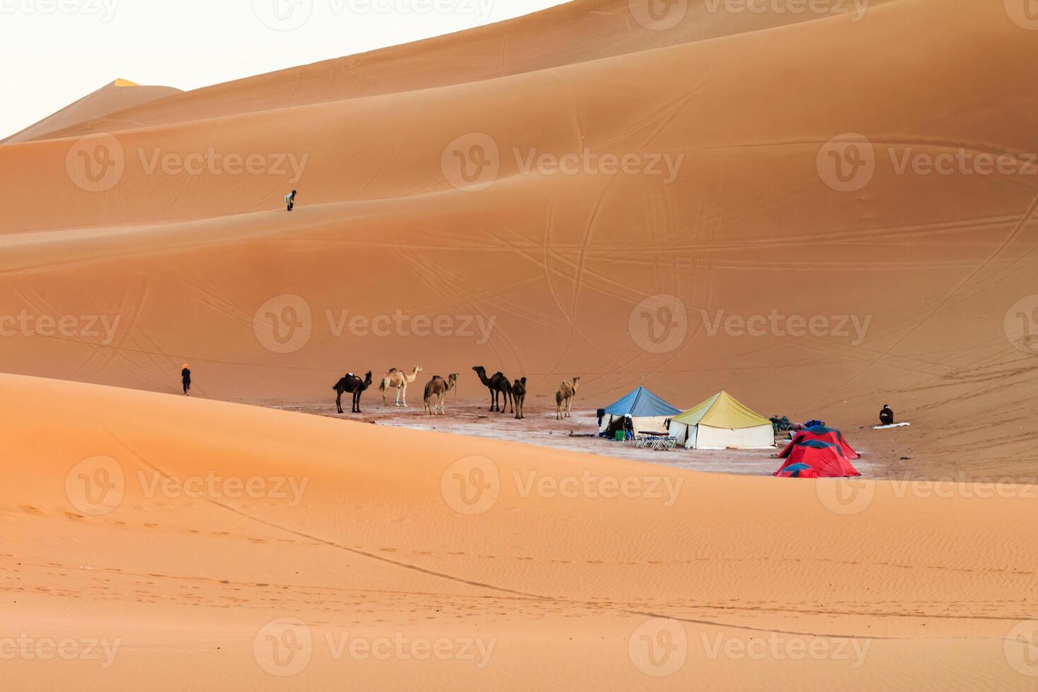 Camp in Sahara Desert photo
