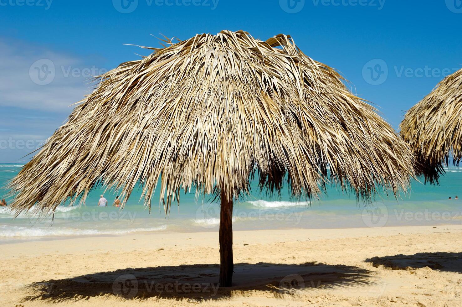 Parasol on exotic beach photo