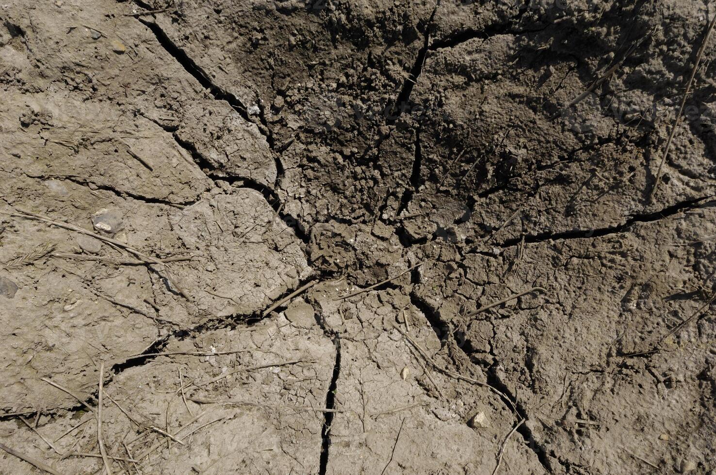 Dry soil with cracks photo