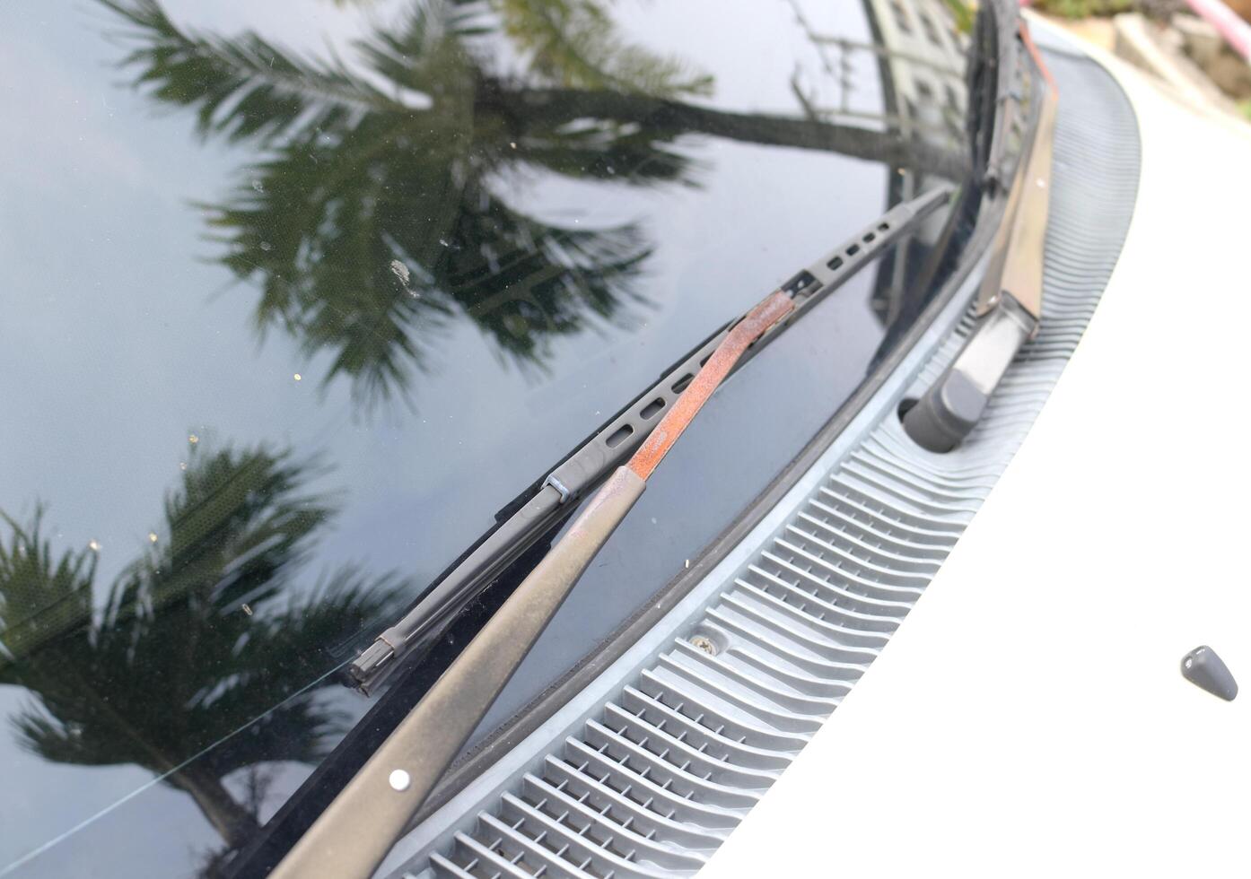 Old wipe retro car with rust on it and coconut tree reflect on windscreen. photo