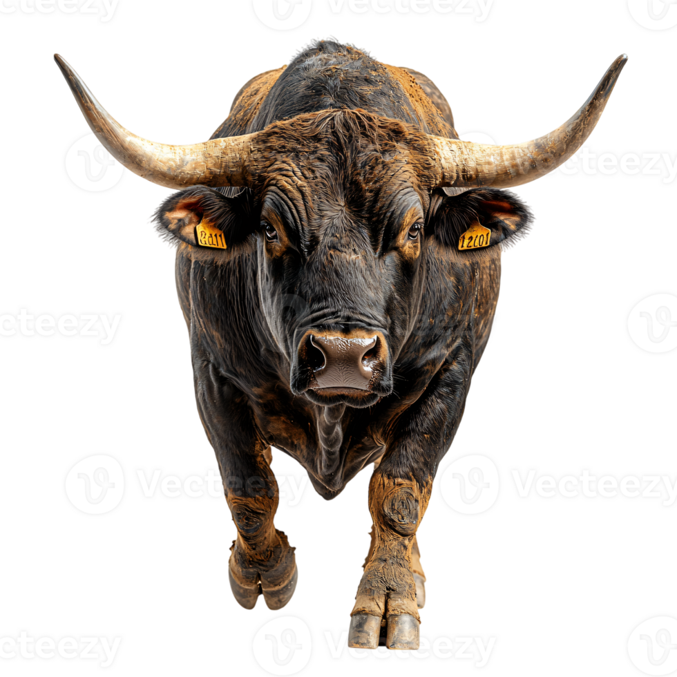 Powerful Dark Brown Bull Charging Agriculture Farm Animal png