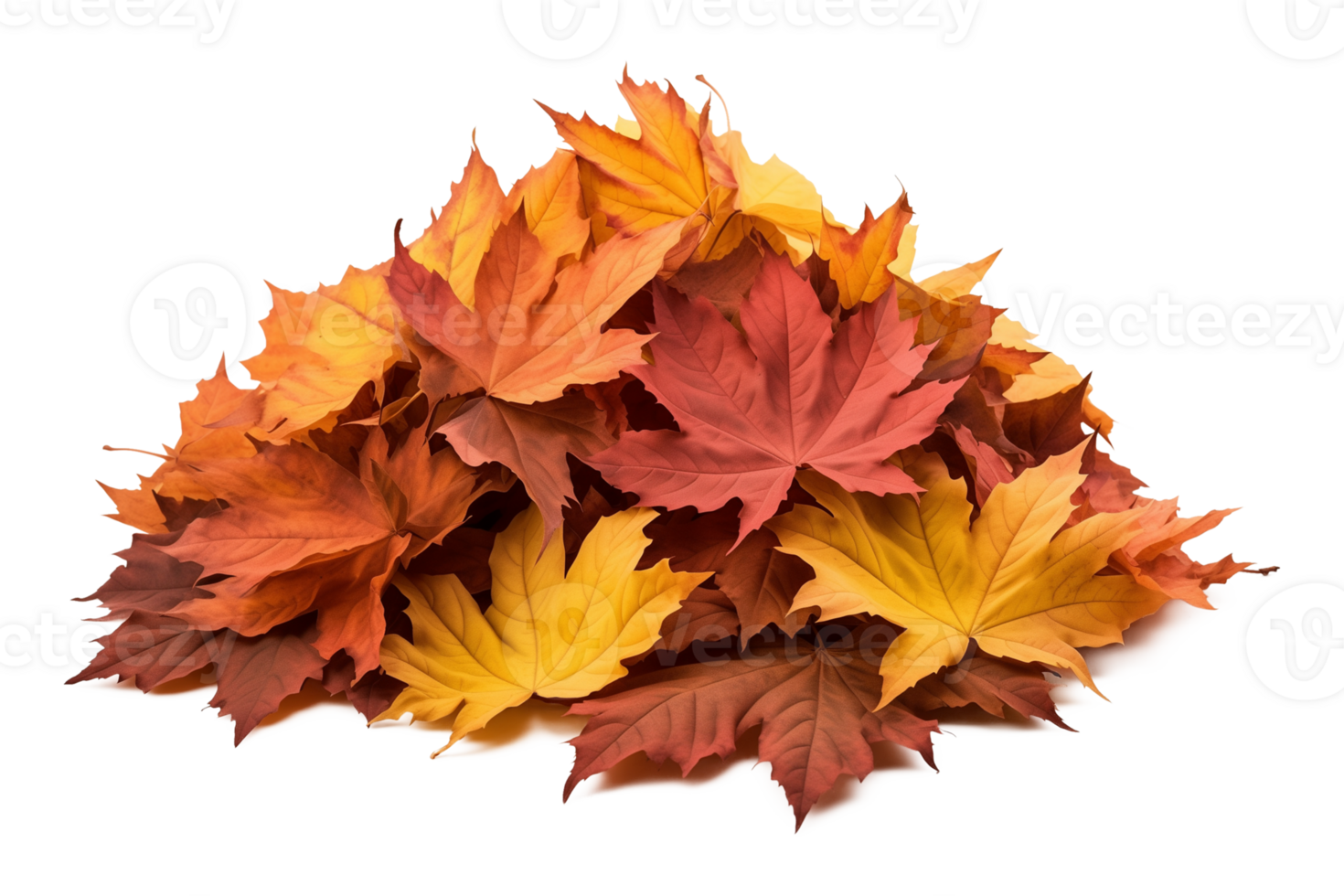 Dried Autumn Leaves Pile Isolated on Transparent Background png