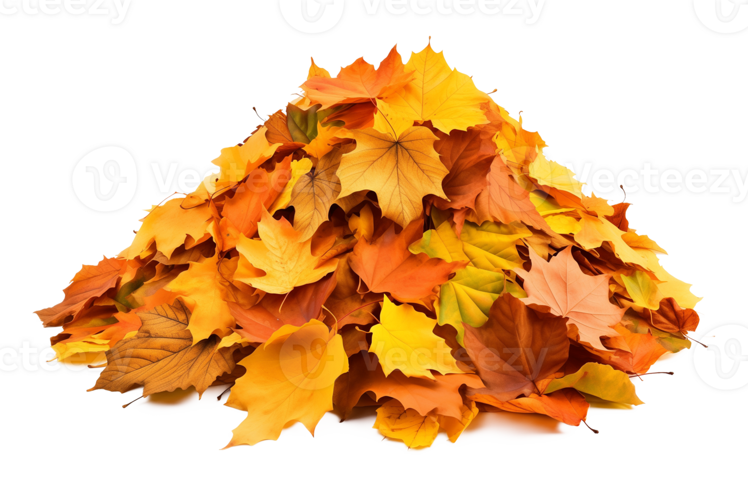 Pile of Autumn Leaves Isolated on Transparent Background png
