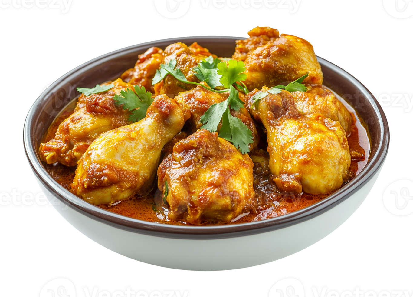 Chicken Curry Isolated on Transparent Background png