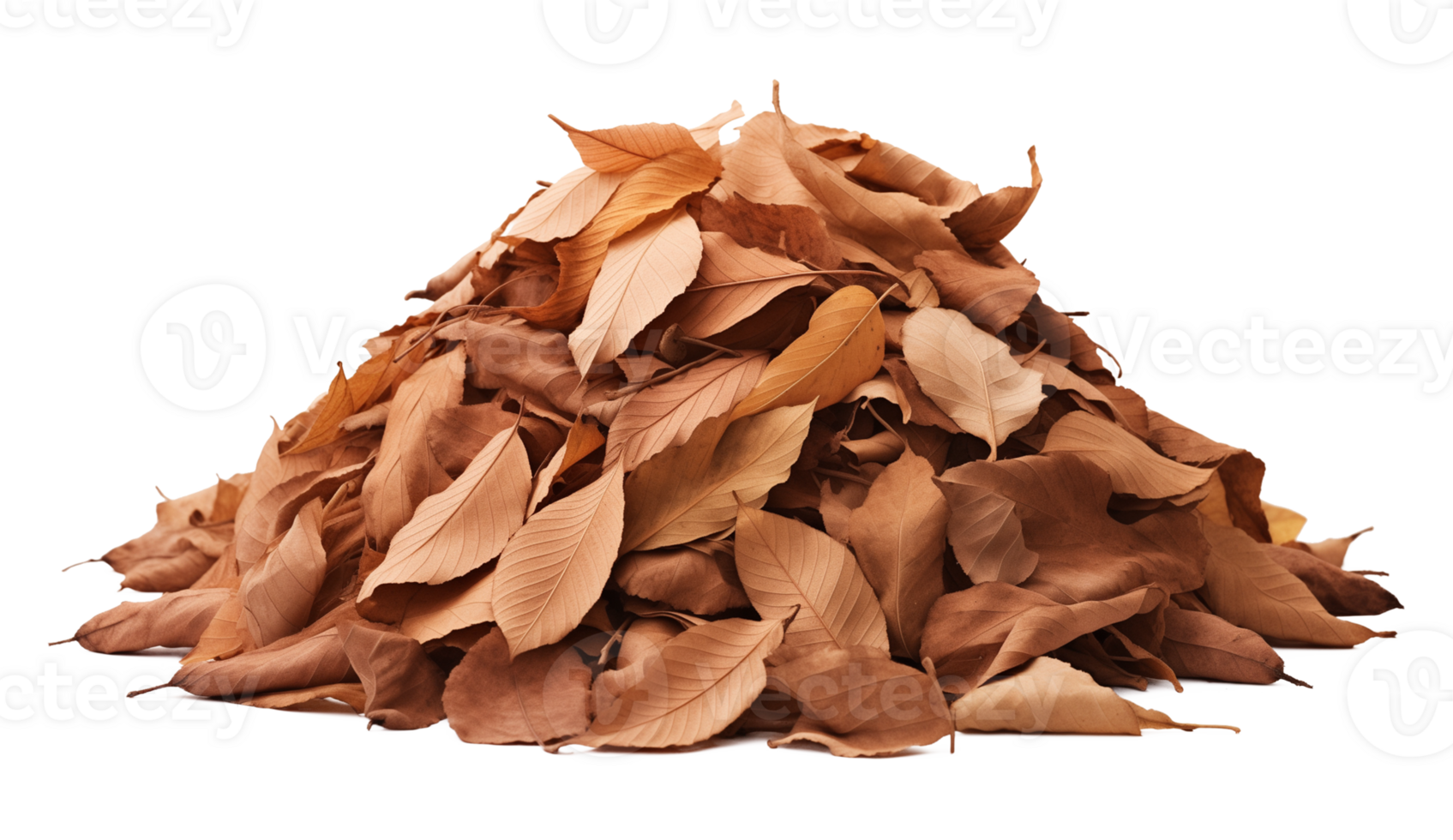 Dried Leaves Pile Isolated on Transparent Background png