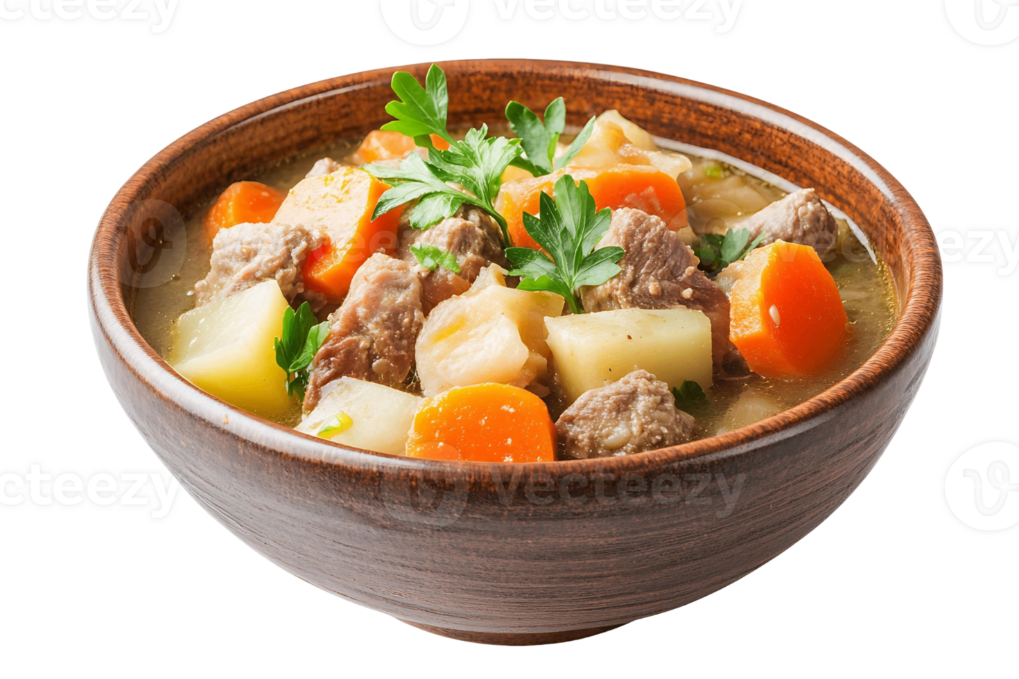 A bowl of soup with meat and carrots isolated on transparent background png