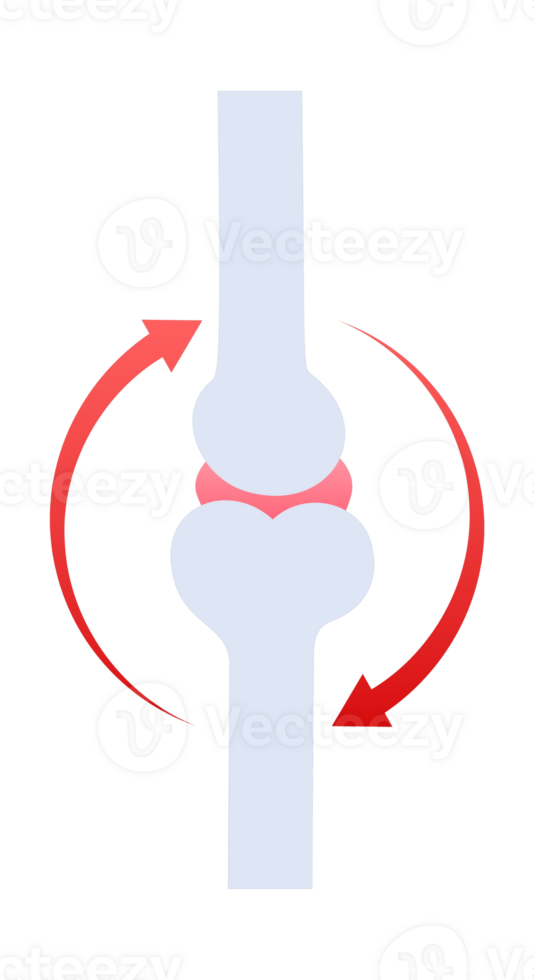 Joint bones rotating showing movement and mobility png