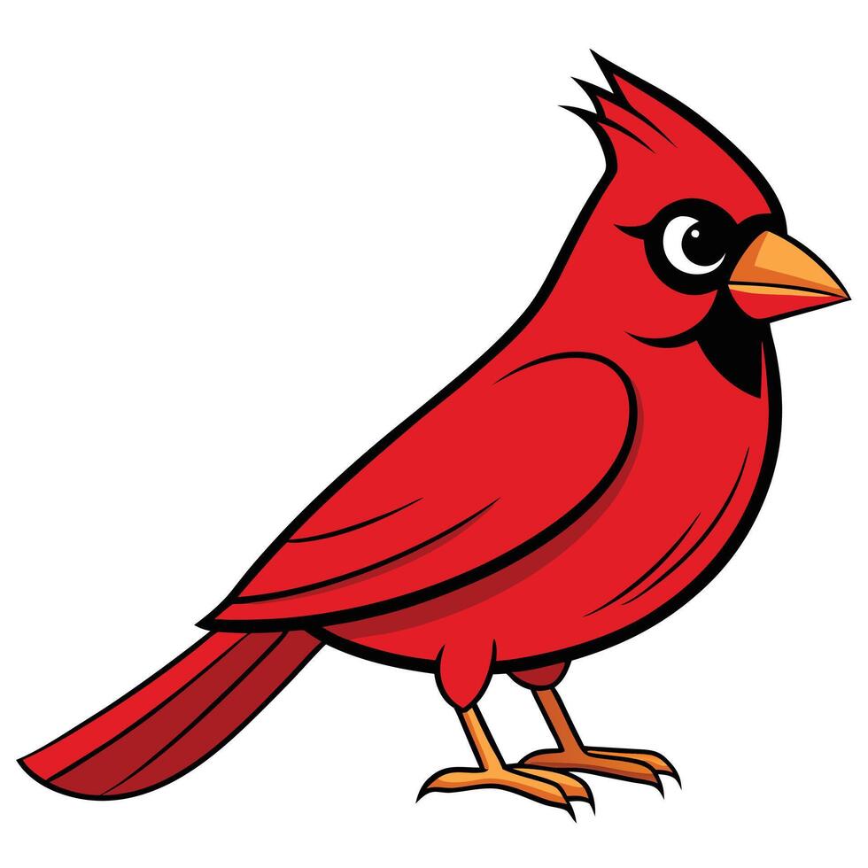 A red cardinal bird is standing on a white background vector