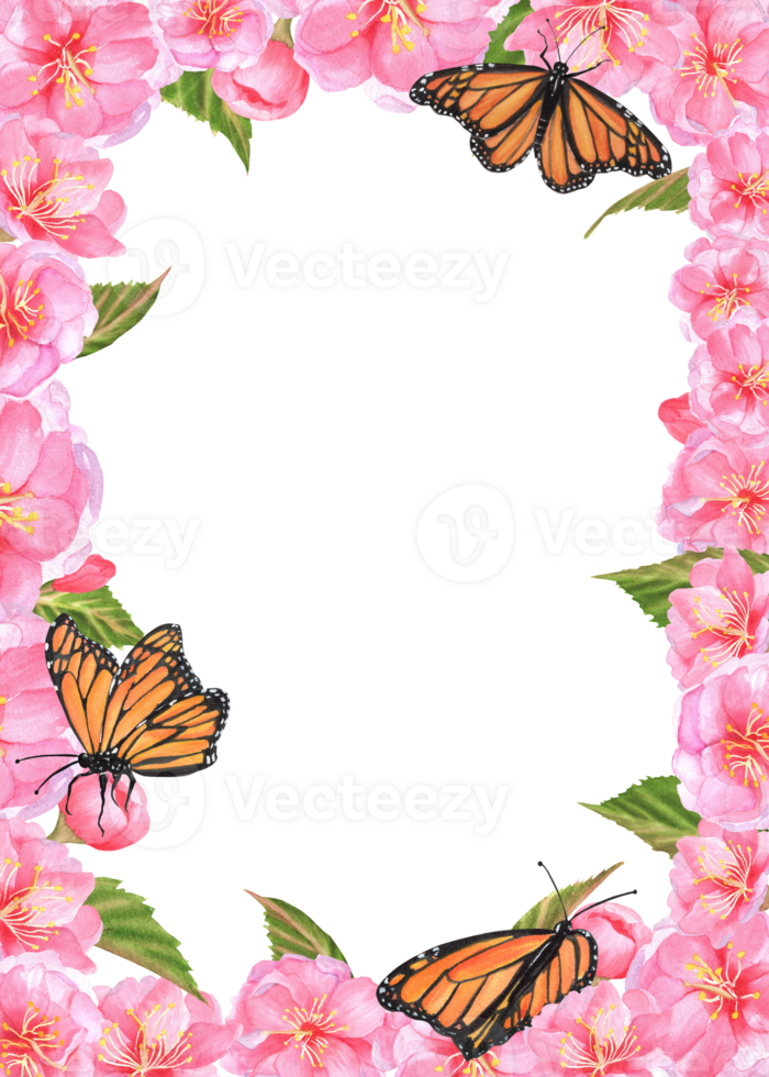 Rectangular frame with pink Sakura blossoms, green leaves and Monarch butterflies. Hanami postcard. Clipart. Hand-drawn watercolor illustration png
