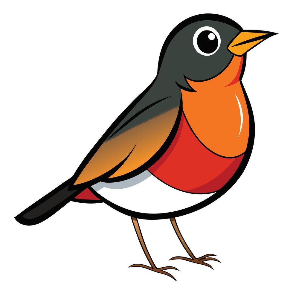 A cartoon robin with orange, black and white feathers vector