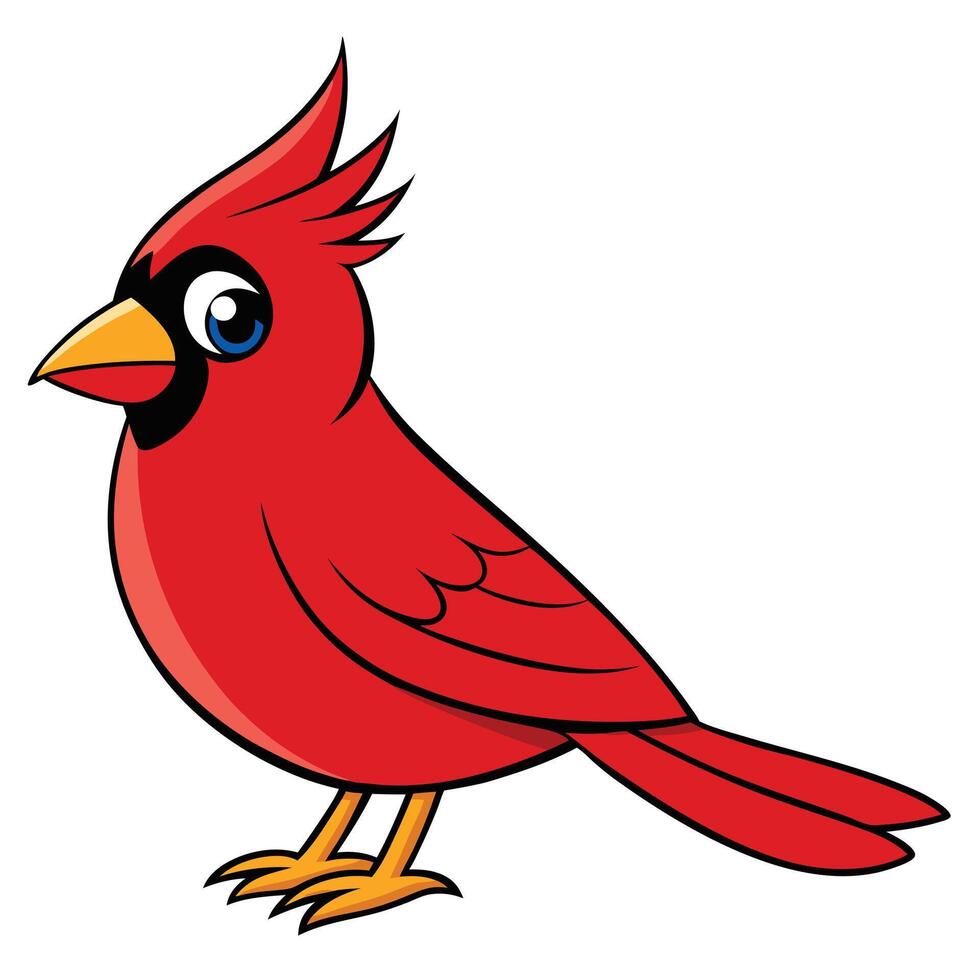 Cartoon cardinal bird vector