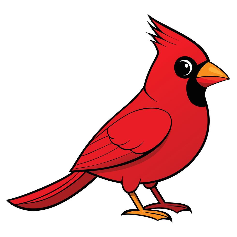 A cartoon red cardinal bird standing on a white background vector