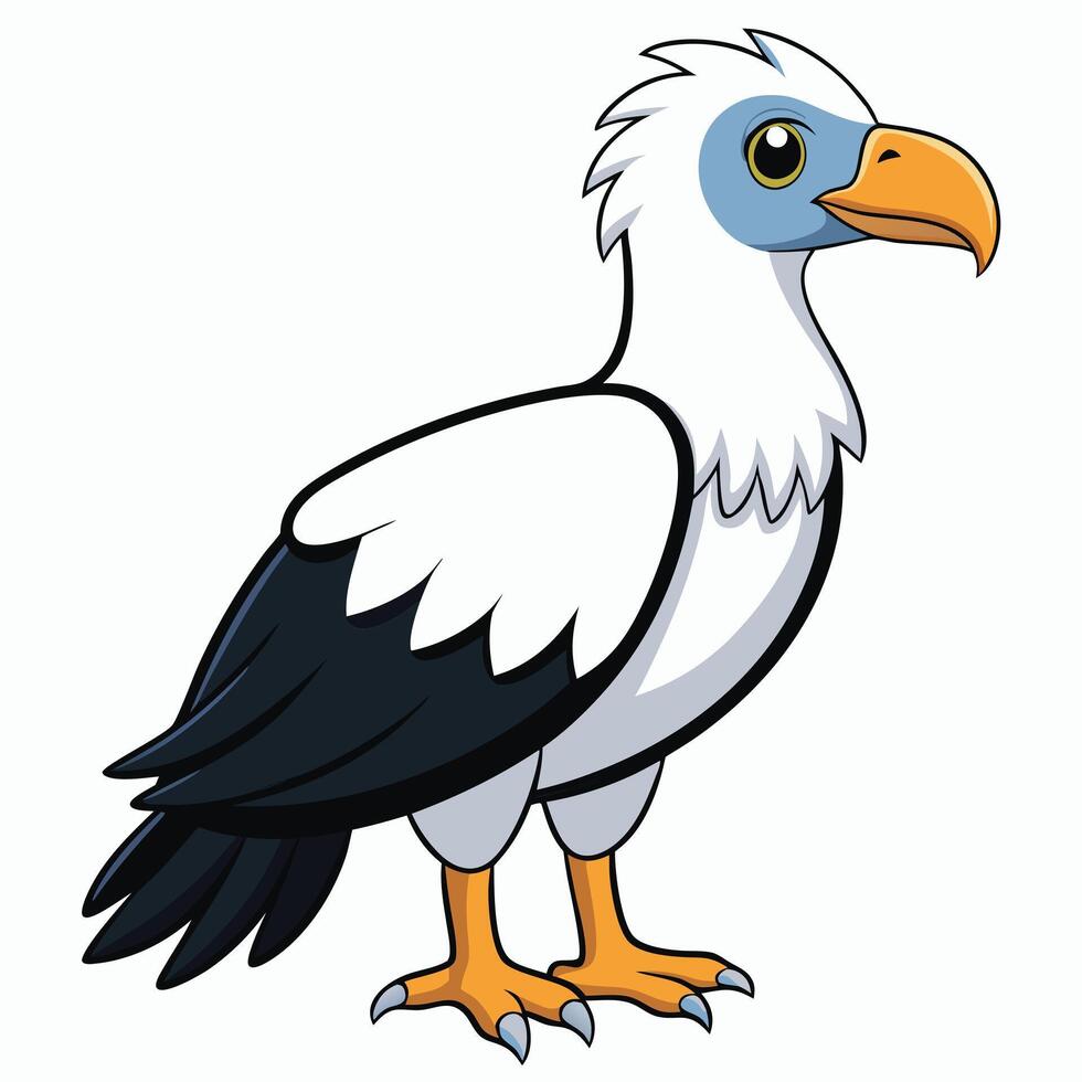 A cartoon white and black bird with a long beak vector