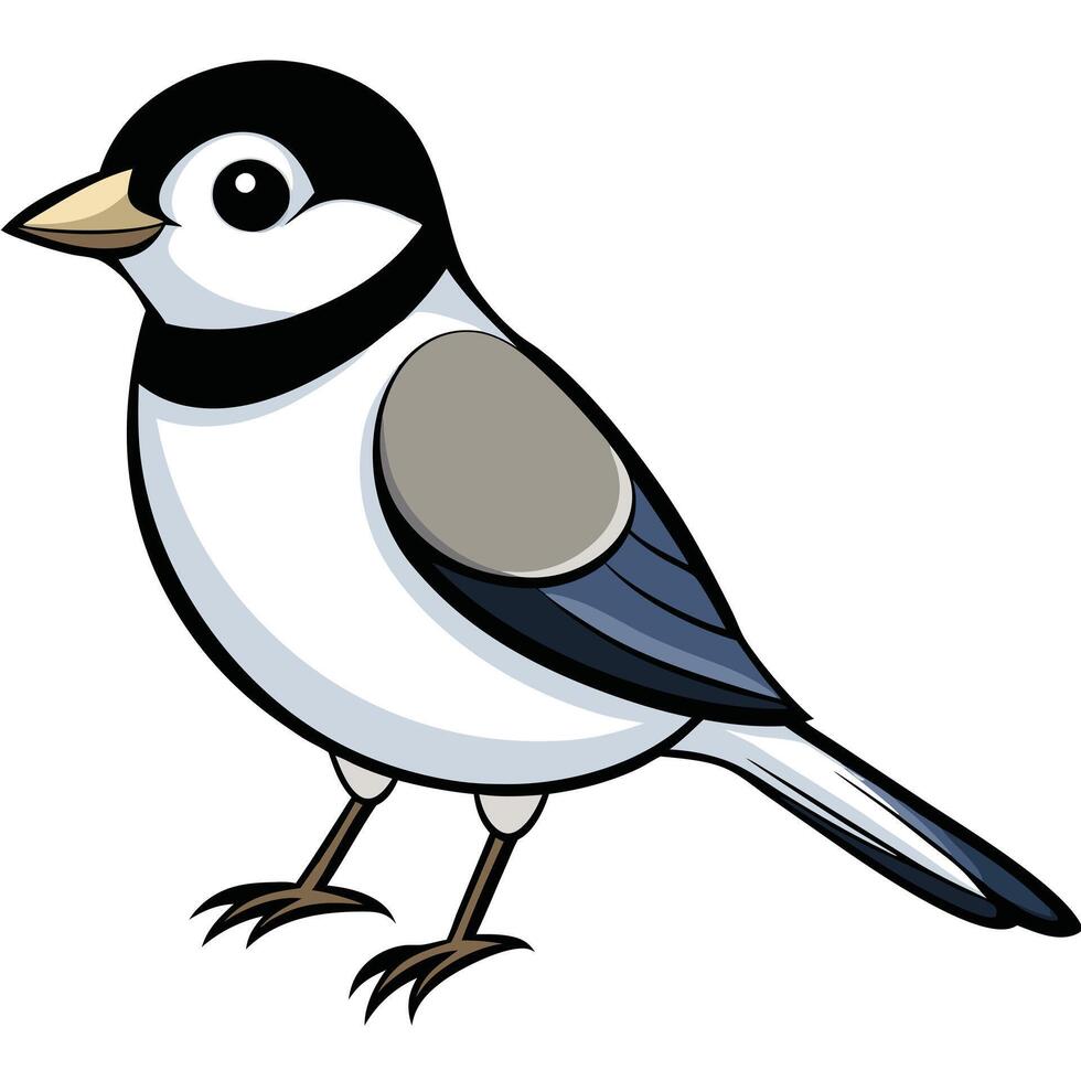 A cartoon bird with black and white feathers vector