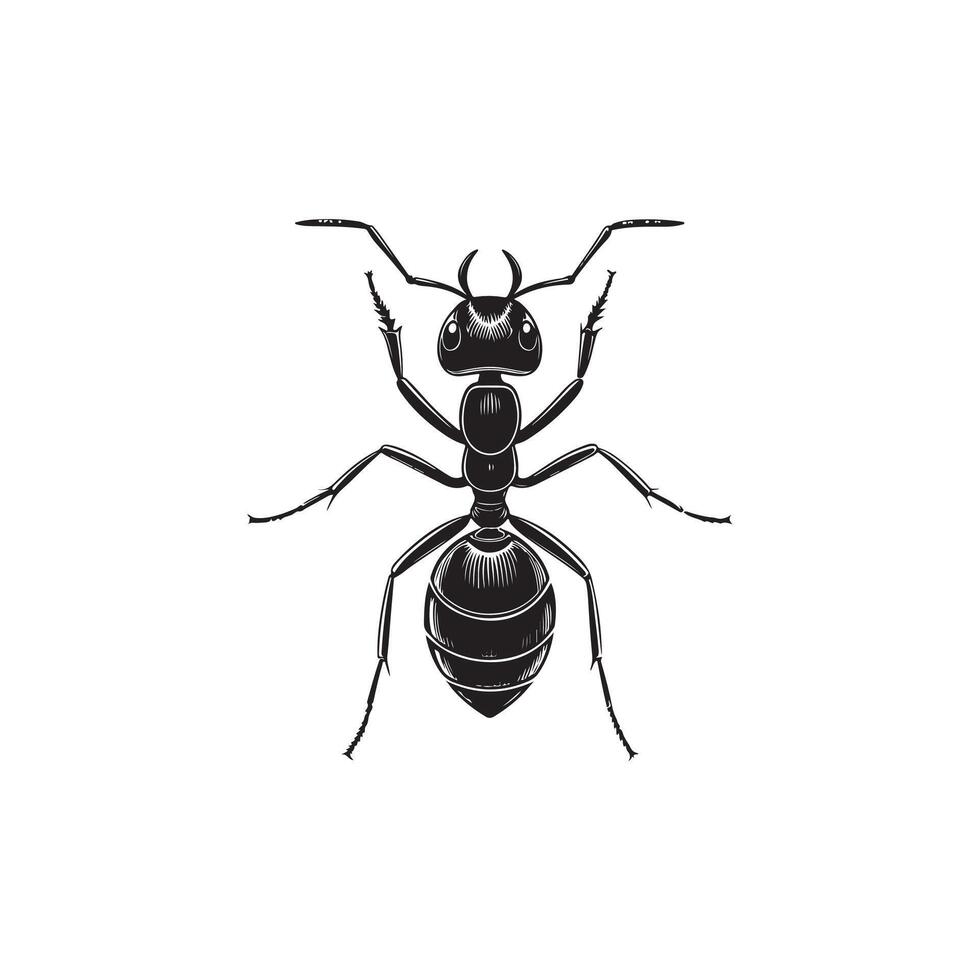Simple Ant silhouette Style template vector