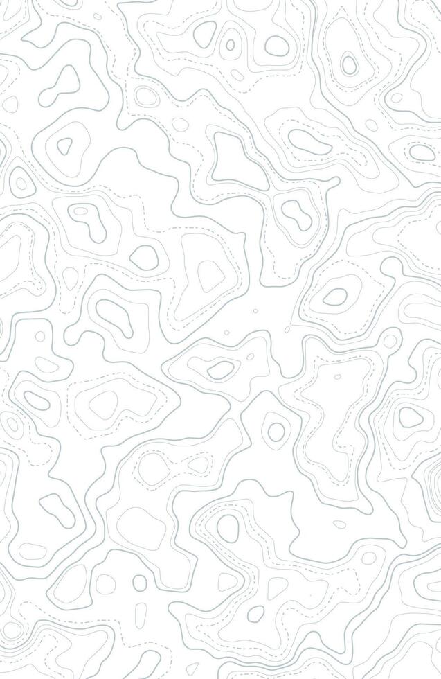 White abstract topographic background modern design illustration template vector