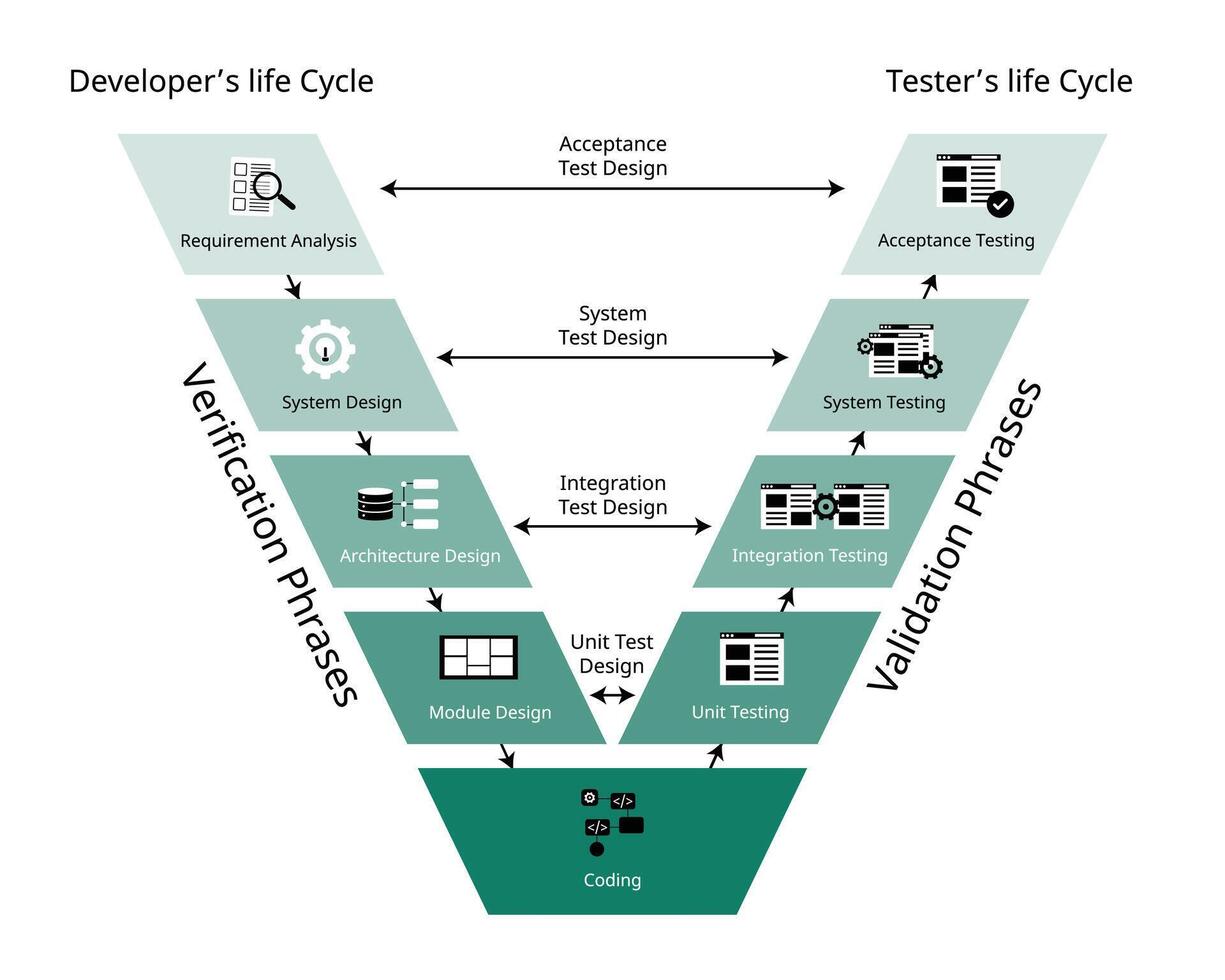 el validación y verificación software desarrollo proceso modelo para el v forma modelo vector