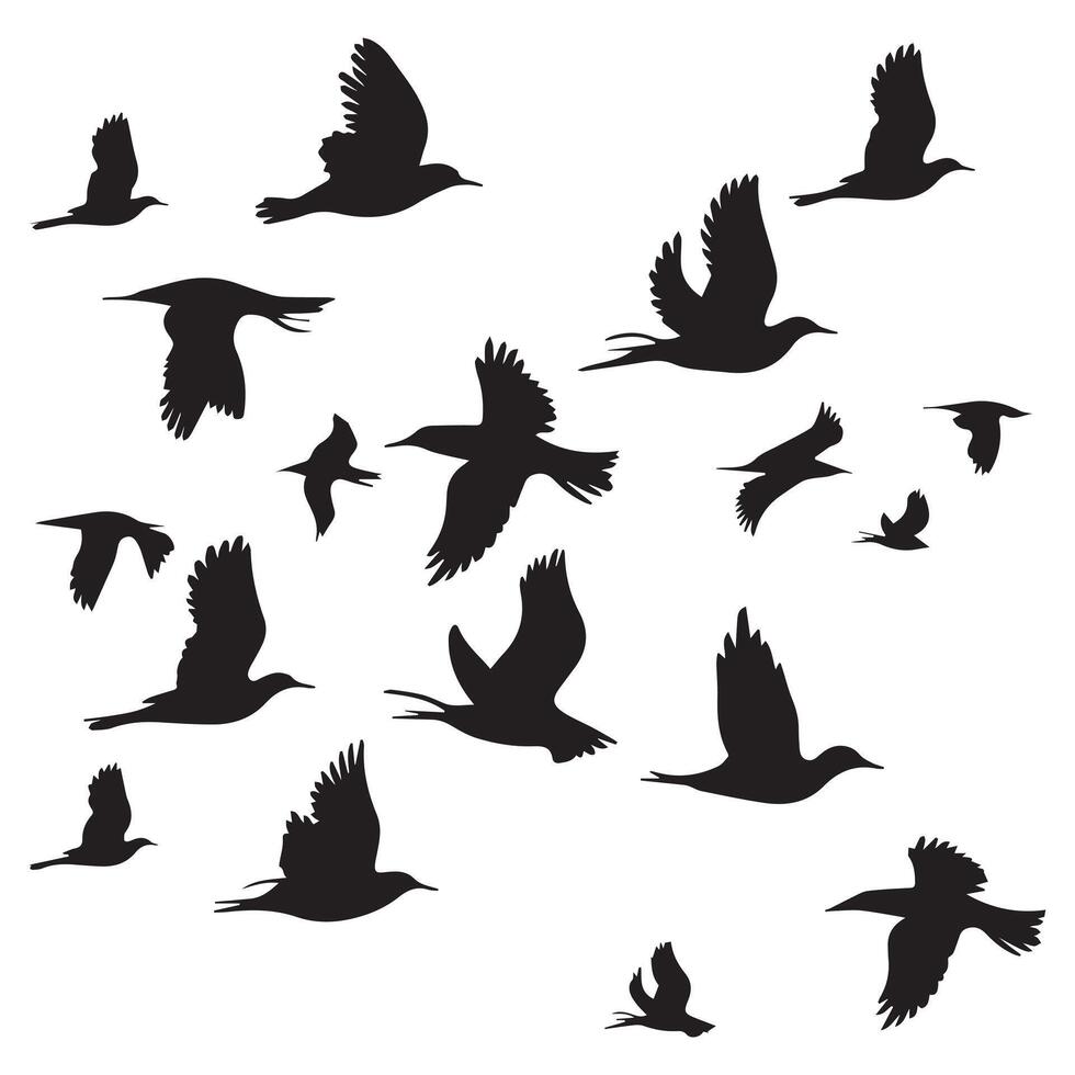 Silhouette flock of birds are flying on the sky with white background vector