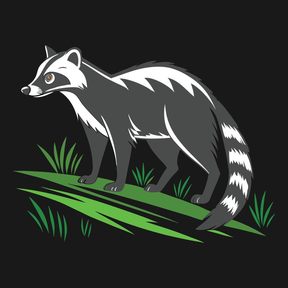 Illustration of a Civet vector