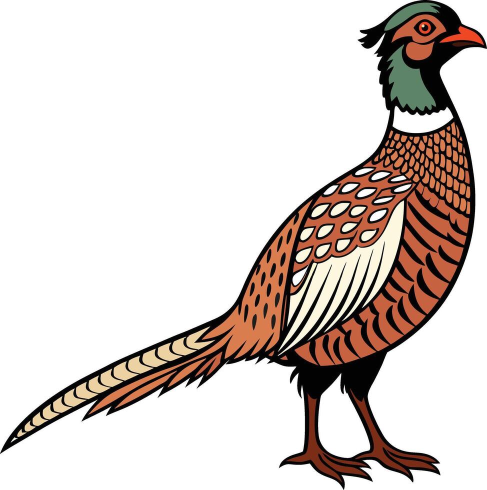 professional full body pheasant vector