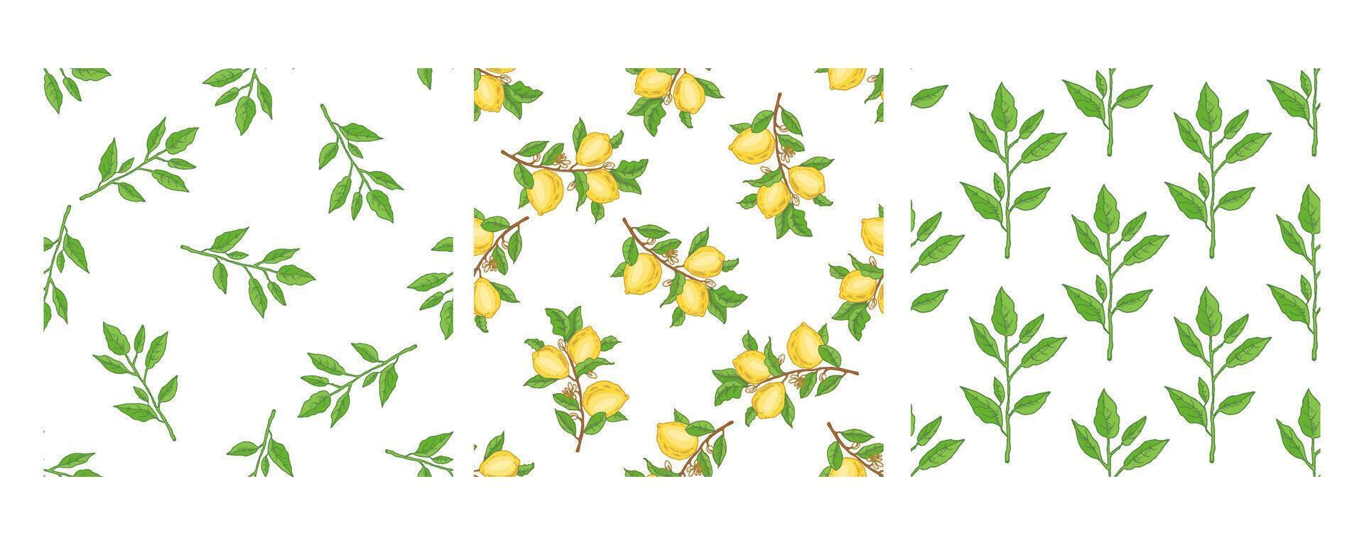 Hand-drawn seamless pattern with lemons and green branches vector