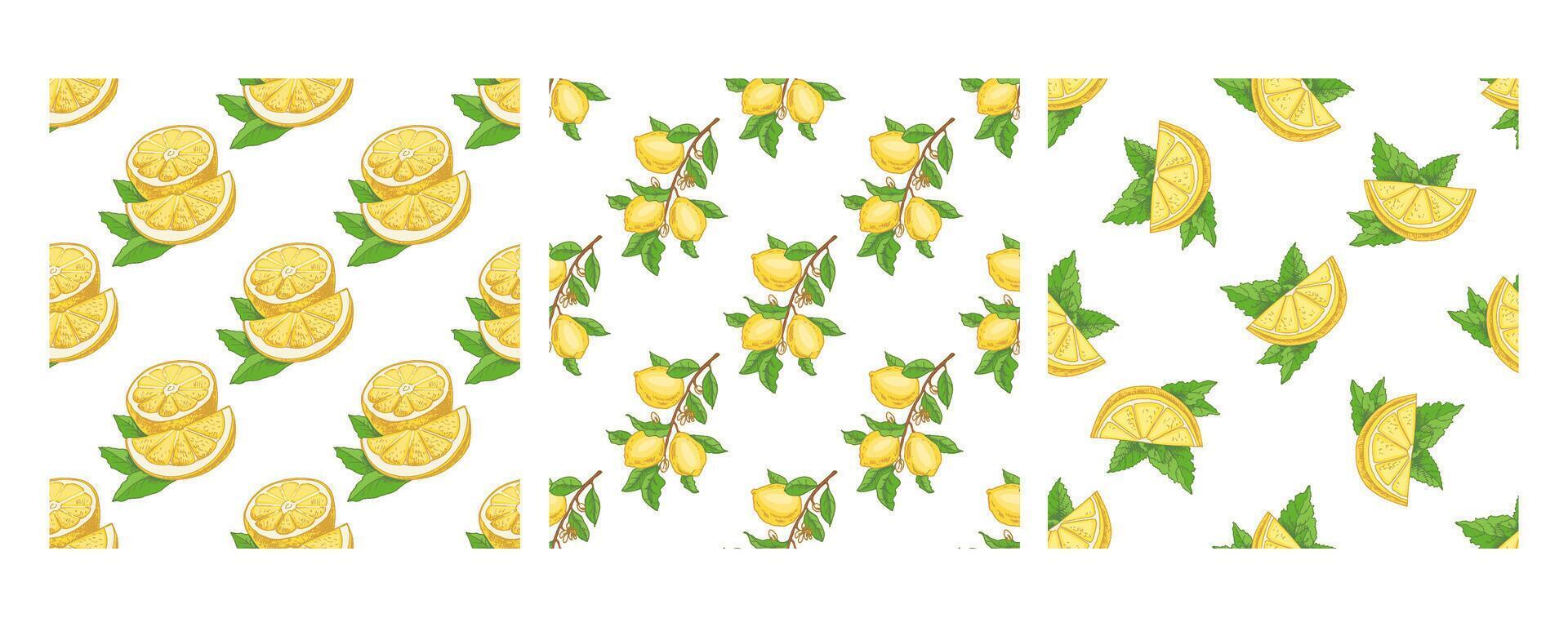 Hand-drawn seamless pattern with lemons, branches, and mint leaves vector