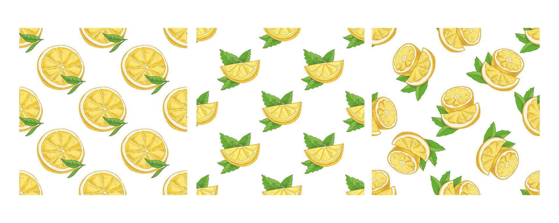 Hand-drawn seamless pattern with lemon slices and green mint leaves vector