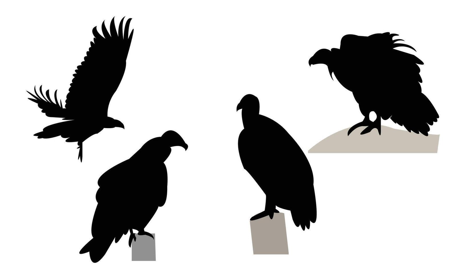 Vulture Bird Silhouette Collection vector