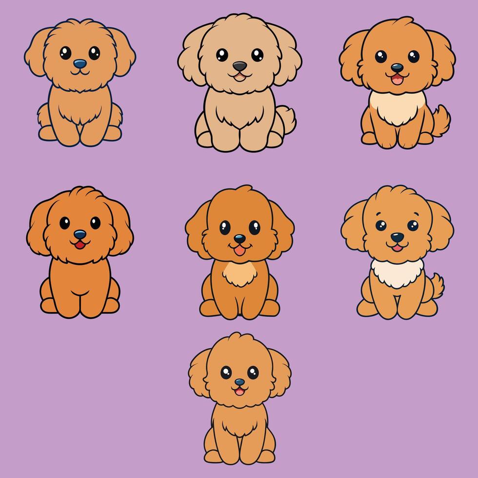 Set of Playful Zuchon Dogs Sitting in Style Isolated Vectors