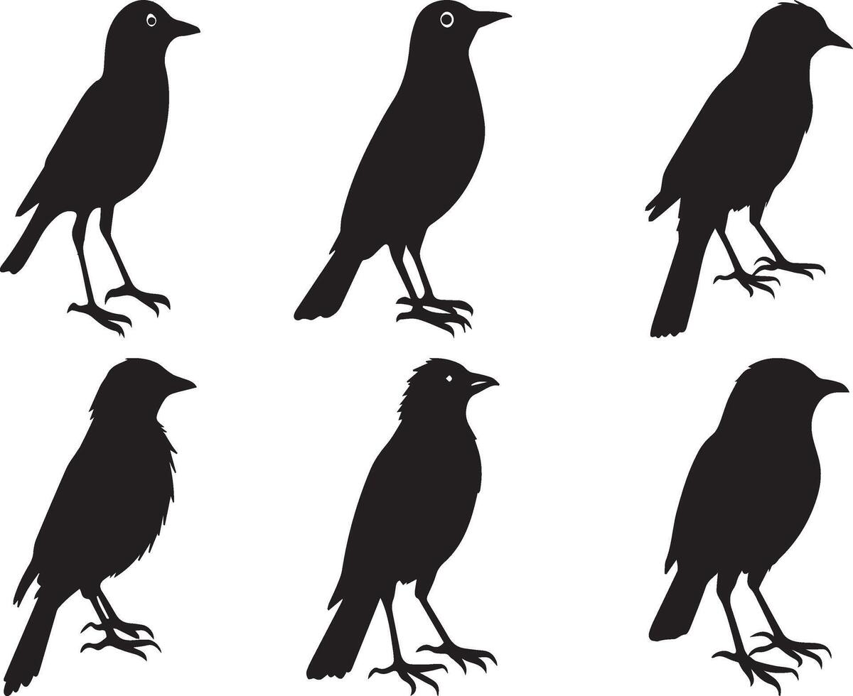 Doodle Tiny Birds Collection, Hand-Drawn Forest Bird Icons. Featuring Tiny Birds like Tit, Sparrow, Thrush, and more. Black Illustrations with Crisp Outlines on a White Background. vector