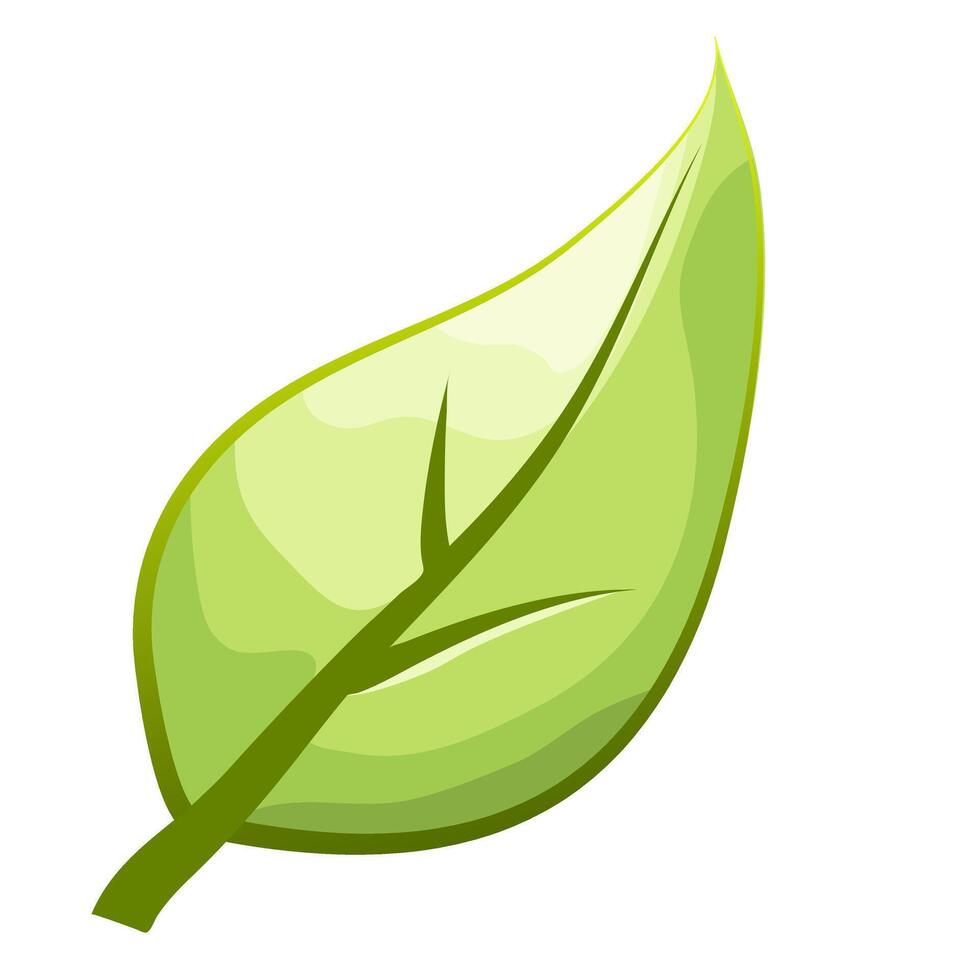Eco icon green leaf. vector