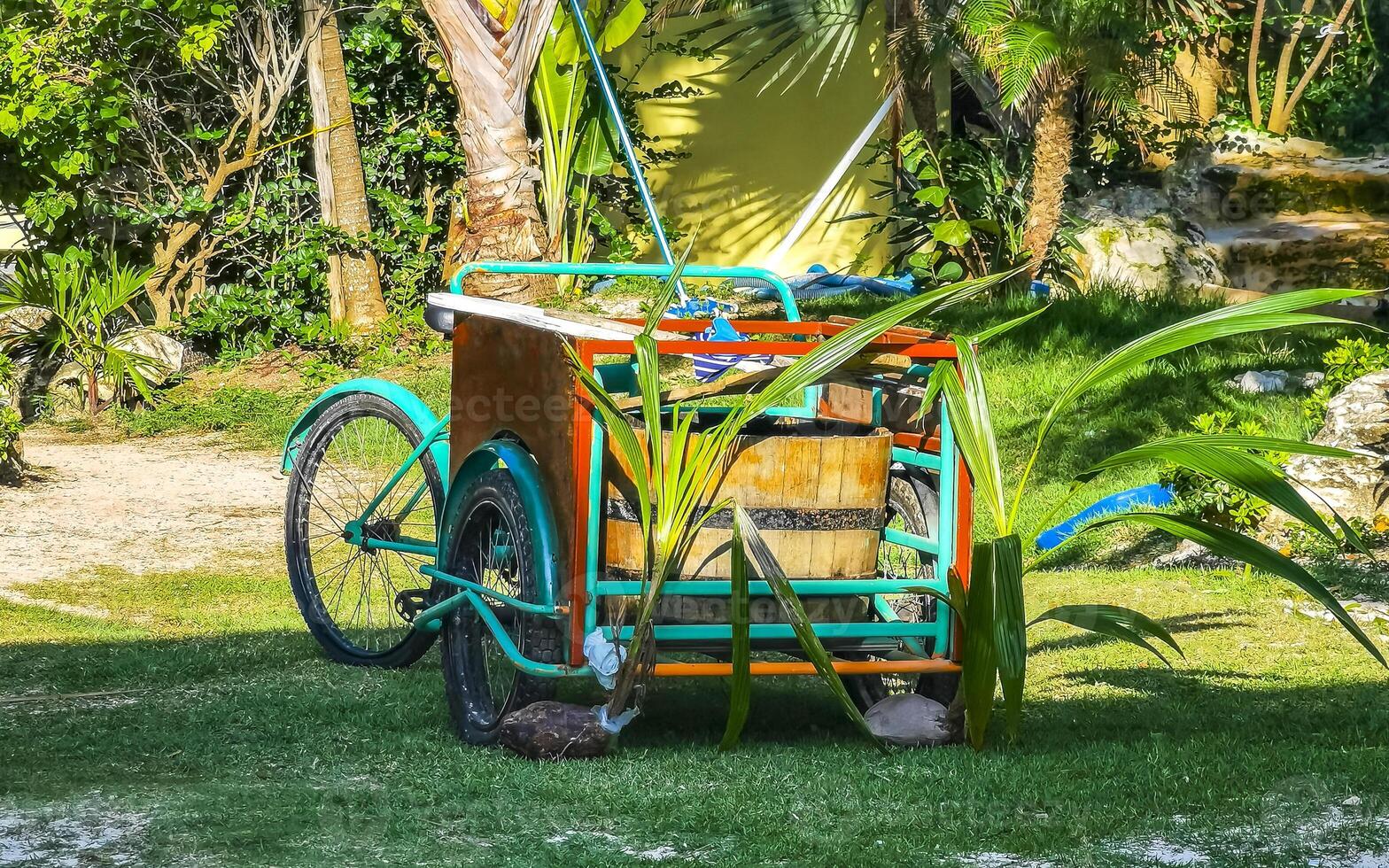 Mexican tricycle in tropical nature in Cancun Mexico. photo