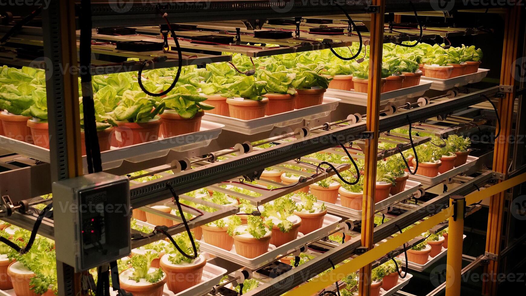 Indoor farm Hydroponic plants growing under LED lights and electric fan to reduce CO2 emission. Indoor vertical farm or vegetable farming that use new technology of seeding plants on vertical stack. photo