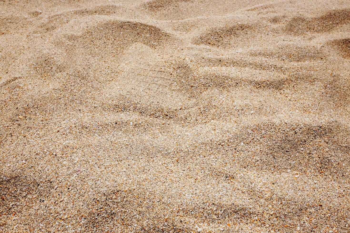 Texture and background of beige beach sand in natural of summer. Top view photo
