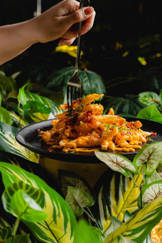 French fries topped with melted cheese and bacon bits. photo