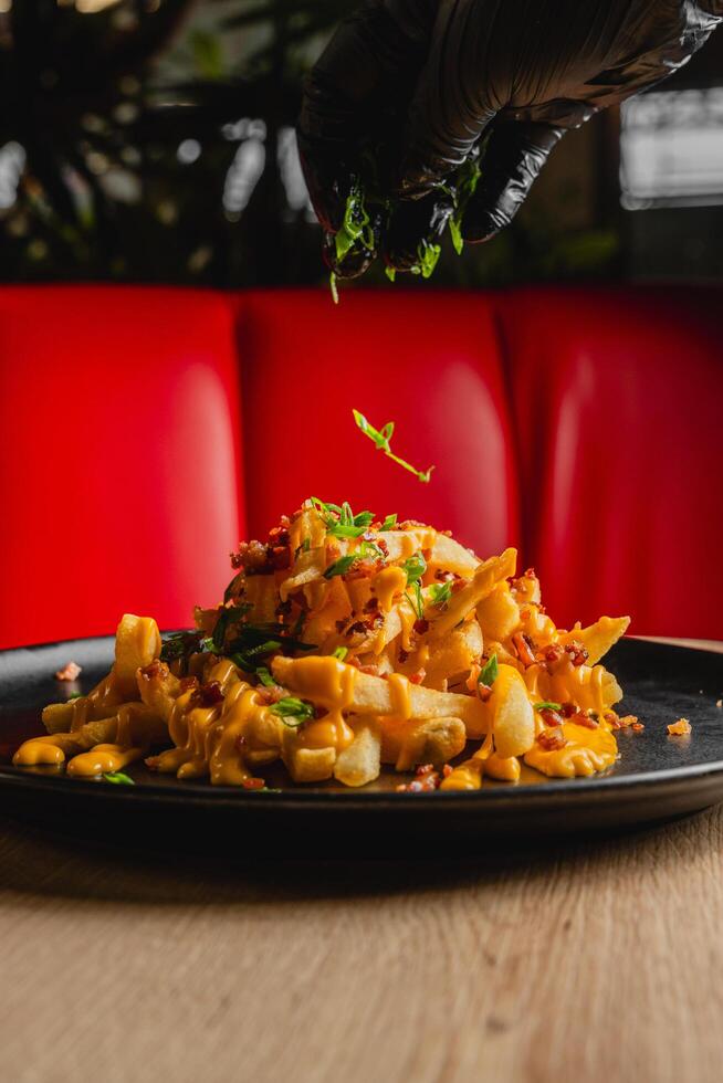 French fries topped with melted cheese and bacon bits. photo