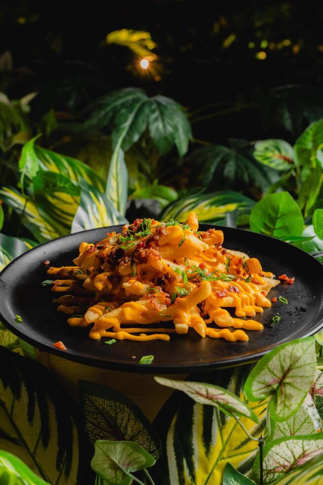 French fries topped with melted cheese and bacon bits. photo