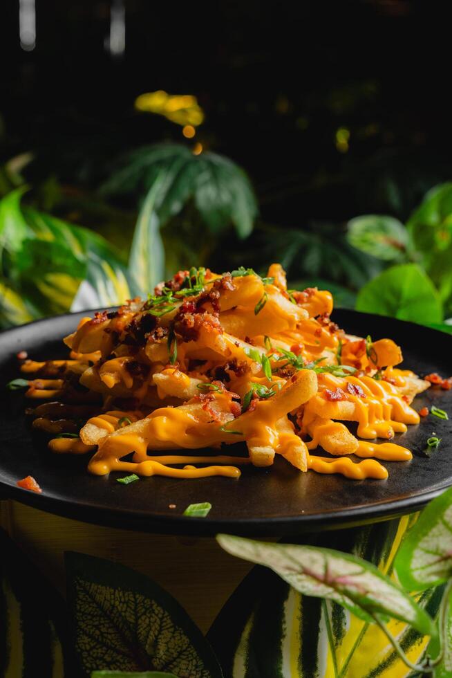 French fries topped with melted cheese and bacon bits. photo