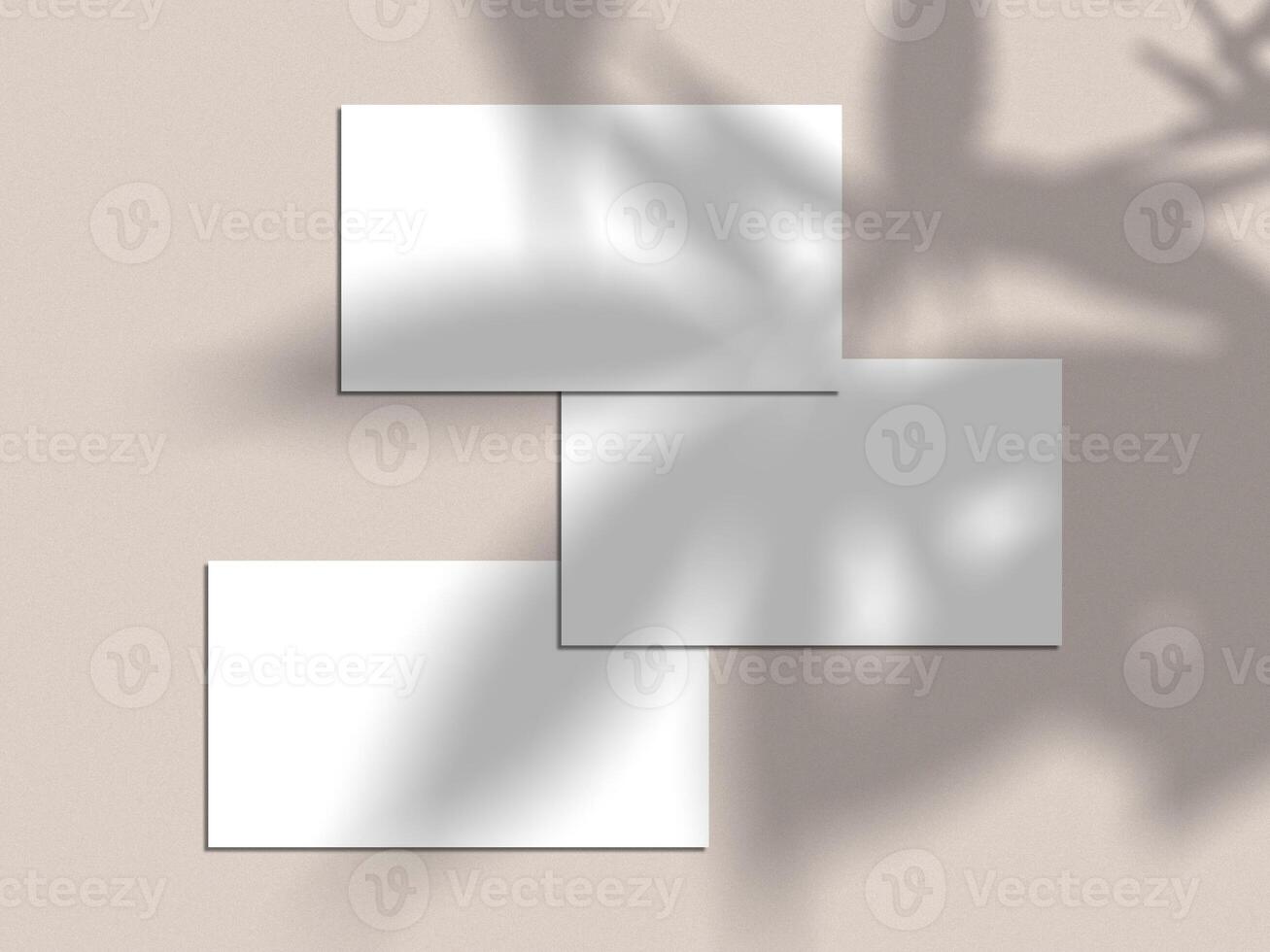 White Minimal Business Card Mockup photo