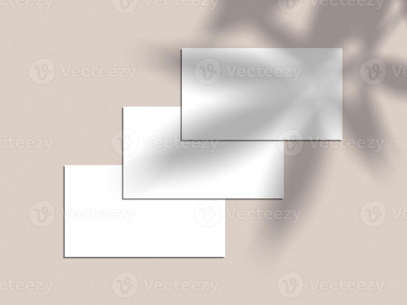 White Minimal Business Card Mockup photo
