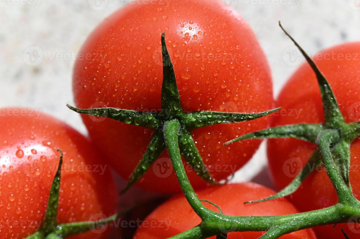 tomatoes are shown with water droplets on them photo