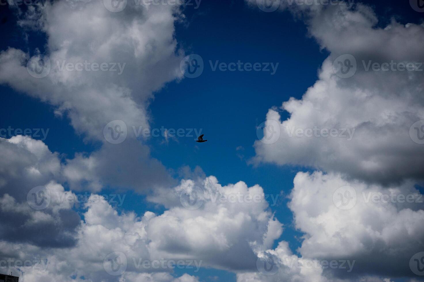 A bird gracefully soars through a vast, cloudy blue sky above photo