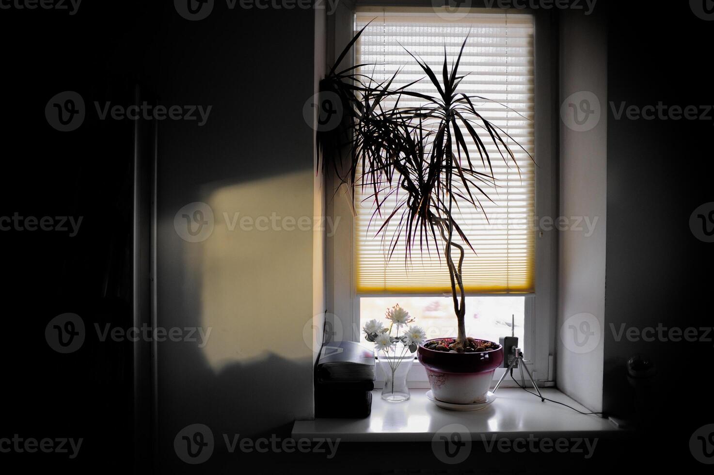 A potted plant is on a window sill in front of closed blinds photo