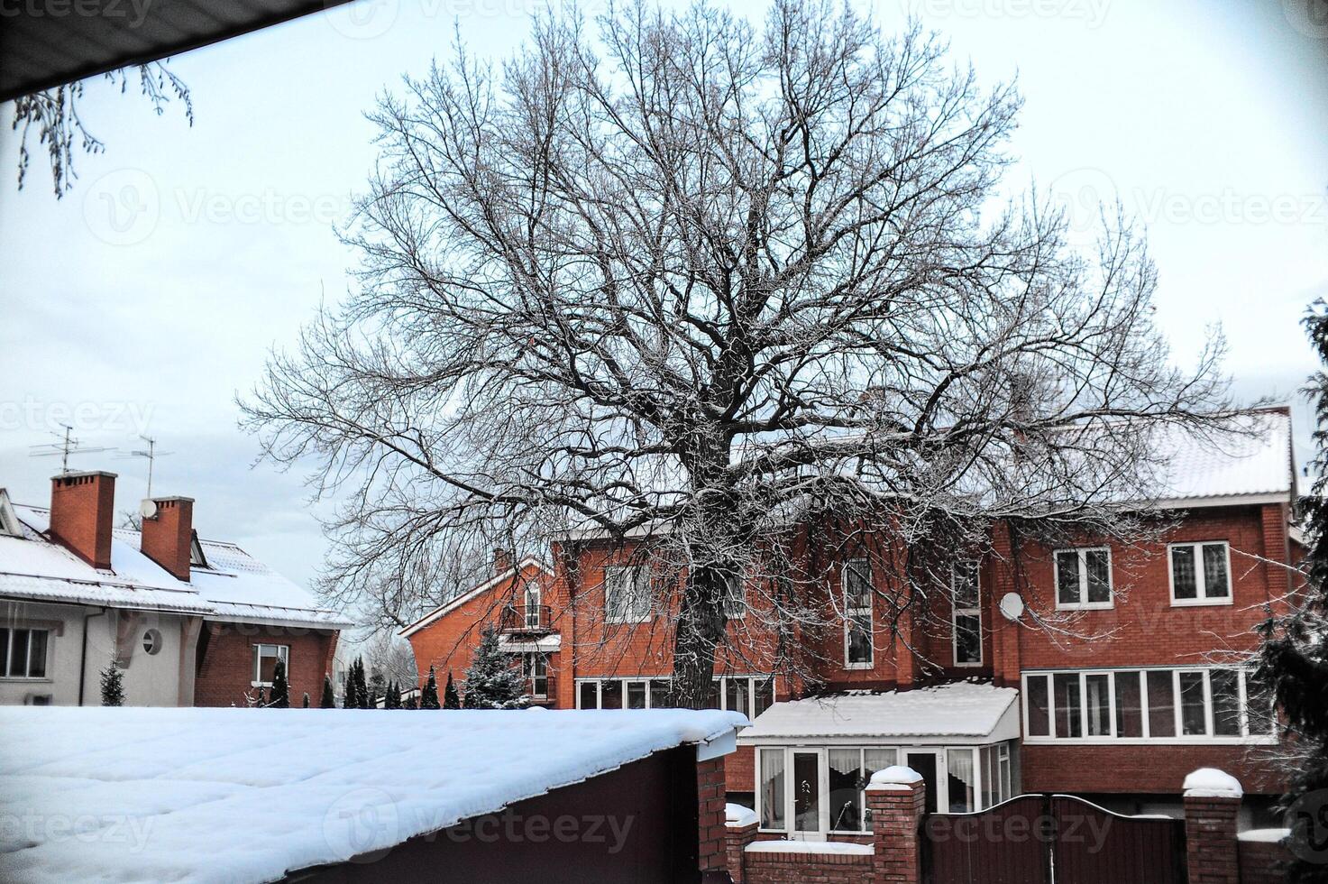 A beautiful snowy yard with a charming brick house in the background photo